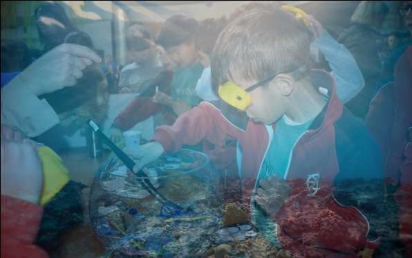 World Ocean Day, St. Catherine’s Way