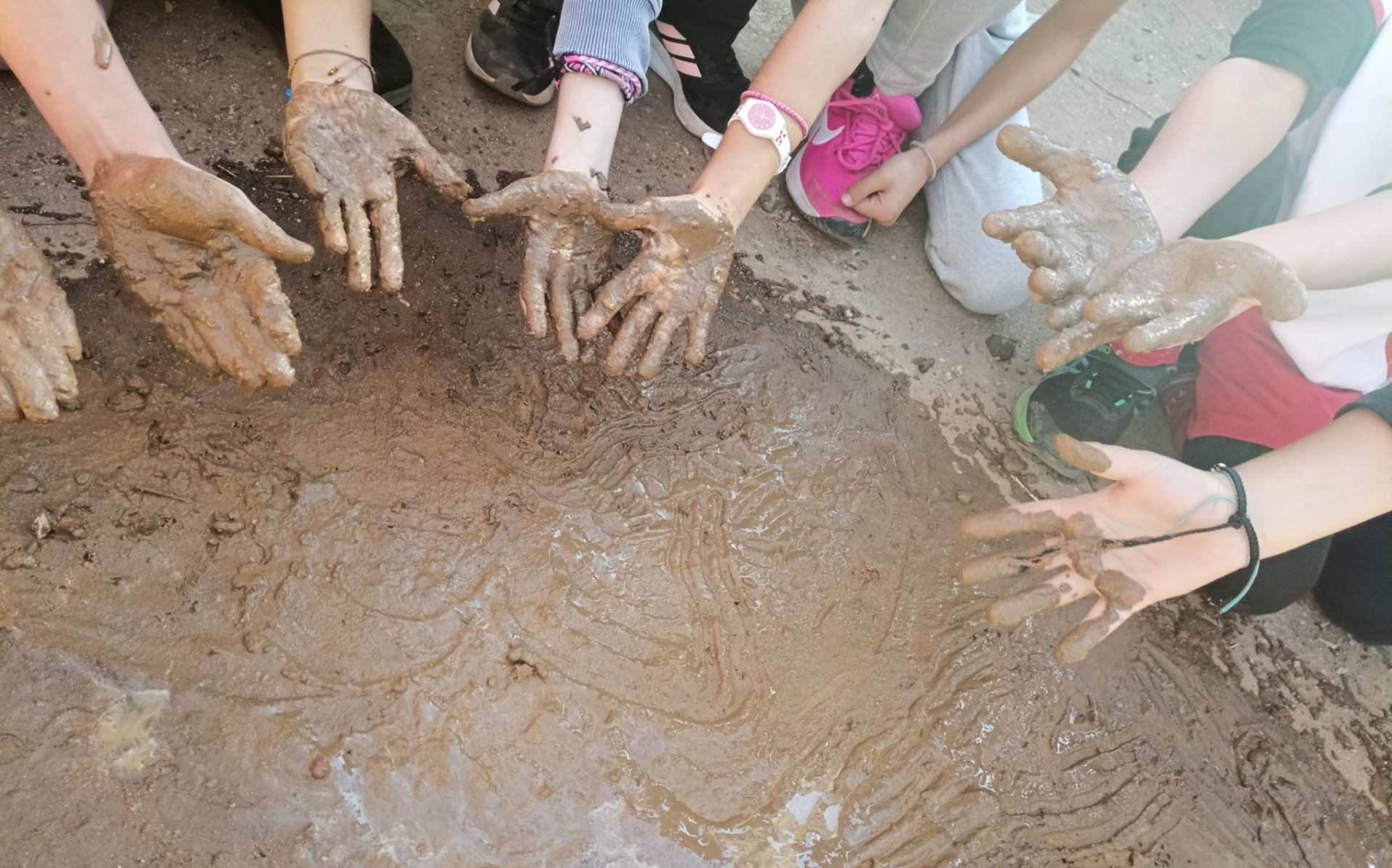 Celebrating Forests Through the Eyes of Year 4 on International Day of Forests